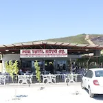 Mir Tatil Koeyue *