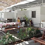 База отдыха Mir Tatil Koeyue