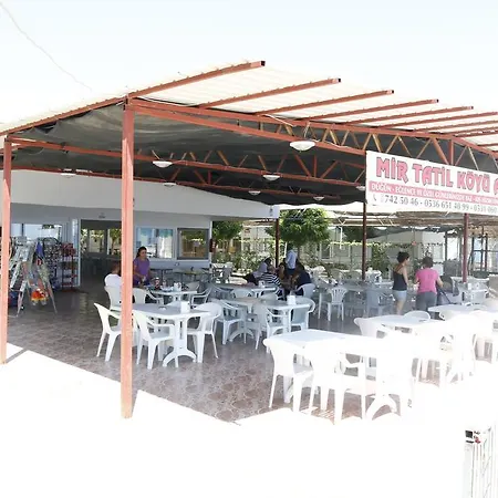 Mir Tatil Koeyue *