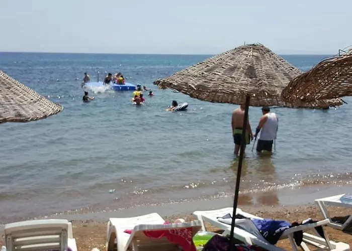 Mir Tatil Koeyue